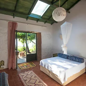 Faralya Botanica Bed & Breakfast